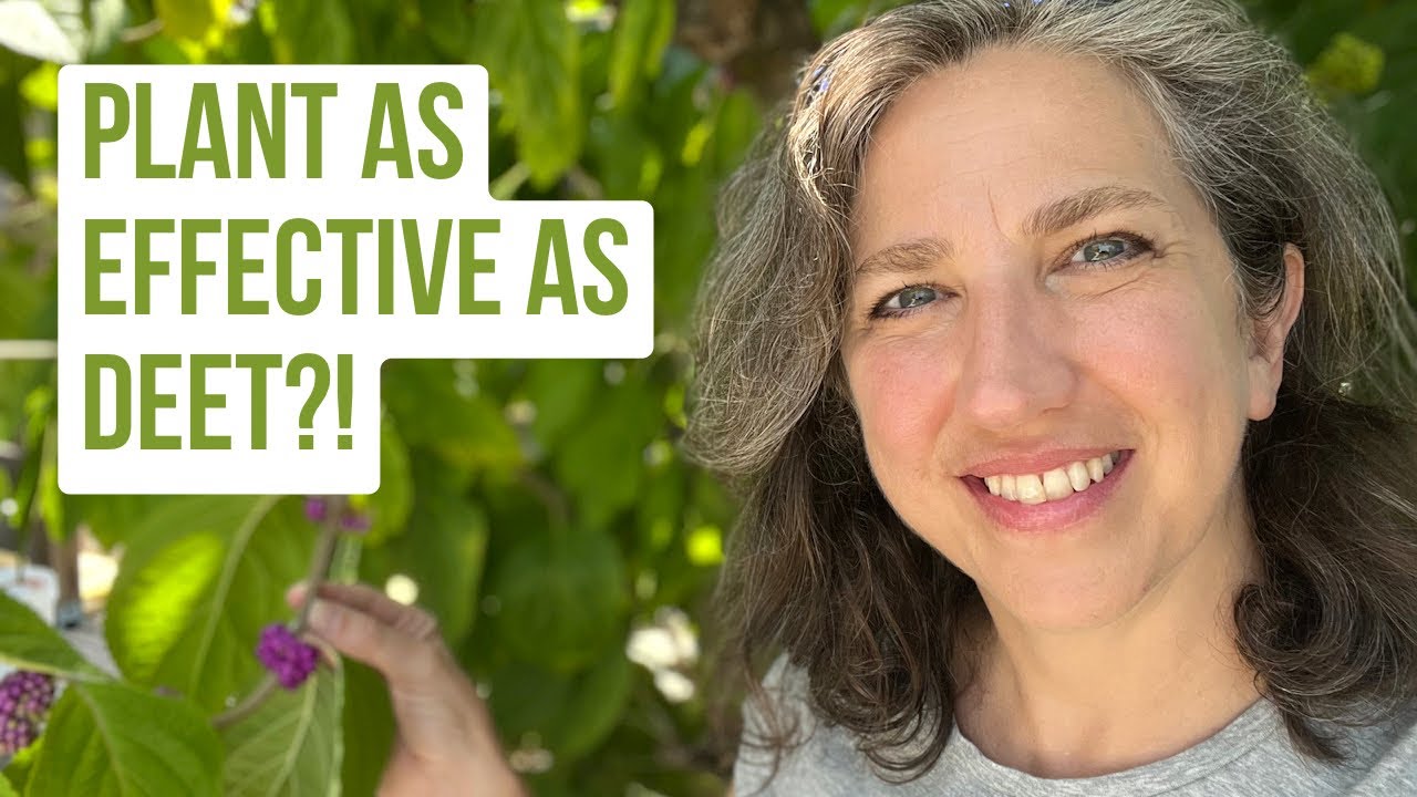 How to Make Your Own Natural Insect Repellent YouTube