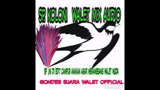 sp.kloni.sp ini cocok untuk memancing indukan walet.karna.sp ini di edit campur anakan