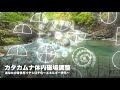 【カタカムナ体内磁場調整】🌍あなたの身体をイヤシロチ化〜エネルギー浄化〜✨