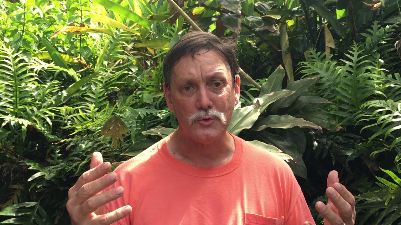 Chipper Wichman Wainiha Flood Reflection YouTube