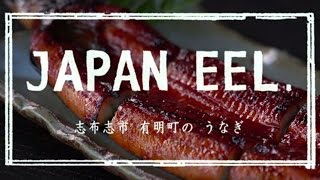 【鹿児島県志布志市】楠田淡水【極うなぎ】