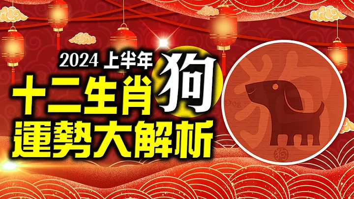 林海陽 準！準！準！2024生肖「狗」上半年運勢詳解‥快看‥！！ - 天天要聞