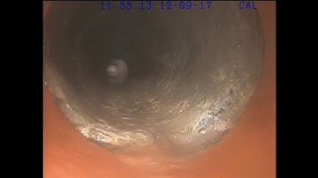 City gardens ABC Block