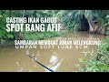 SPOT BEKAS PANEN, MANCING CASTING IKAN GABUS UMPAN SOFT LURE 6CM