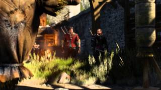 Witcher 3 Story PC