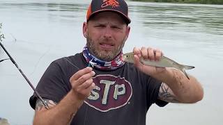 how to catch skipjack from the bank