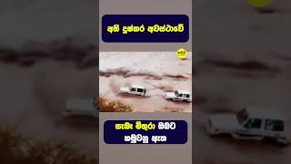 අති දුශ්කර අවස්තාවේ සැබෑ මිතුරා ඔබට හමු වේවී❤ #shorts