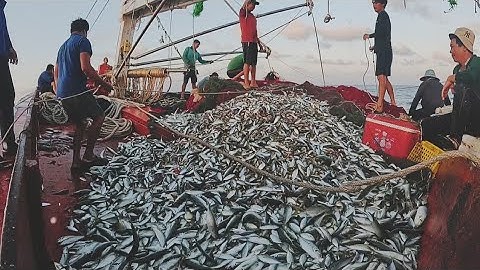 Gặp Cá Bò Gai Nữa Rồi | Đánh Cá 2025 - Tập 69 | Sóng Biển Hứa Đông