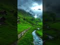 #nature #short #viral