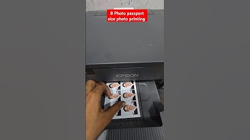 How to Passport size photo printing best printer Epson L8050 pvc Card printing 2in1 printer