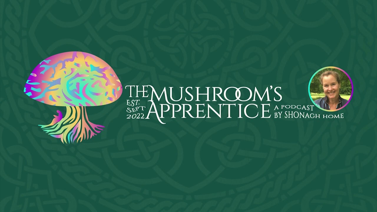 Episode 3   Patrick MacManaway: Dowser Land Whisperer