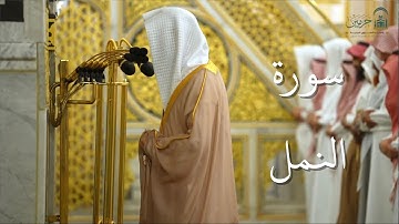 سورة النمل | المصحف الصوتي والمرئي من صلاتي التراويح والتهجد بالمسجد النبوي لعام 1446هـ.