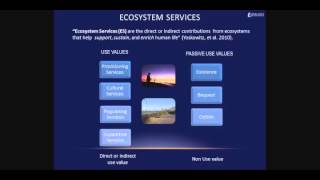 ES Visualized-What are ecosystem services?