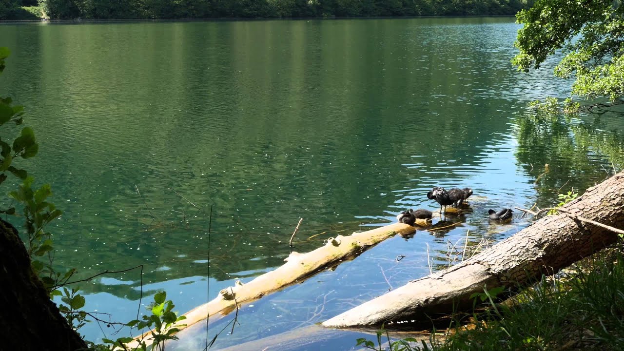 Lumix GH4 video 4k test