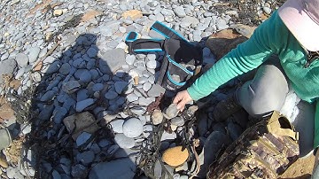 Fossil Hunting Episode 17, part 3 Sandsend 19.5.18