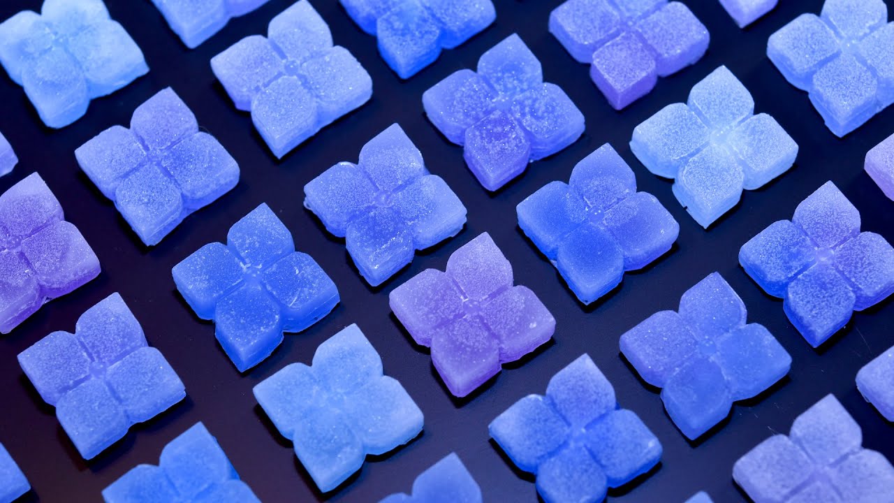 紫陽花のフローティングキャンドル作り。 diy craft hydrangea candle