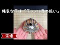 陽気な茶道:茶入/仕覆の扱い