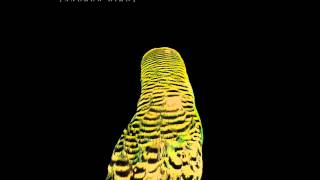 Andrew Bird - Armchair Apocrypha (Full Album)