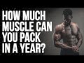 Muscle Gains for Beginners in a Year 💪