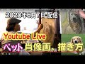 油絵＆肖像画・ペット画の描き方【2020.6.7】昼間のまったりライブ配信です。お気軽にコメントなどして頂けますと嬉しいです。