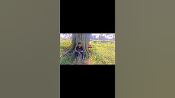 Tumse Milkar Ye Jana Hai Status | Teri Chunnariya Song Status | Old Is Gold | Love