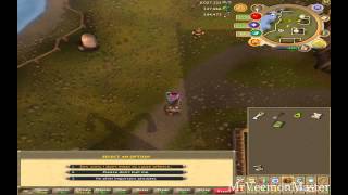 Famous Runescape Making History Quest Guide Wealth