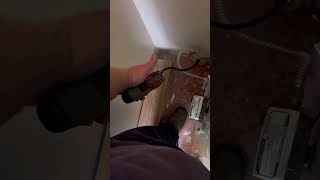 IMG 5871