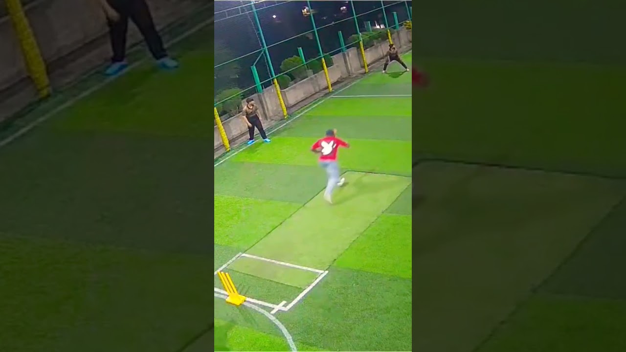 Cricket Game Review | Features, Gameplay & Graphics