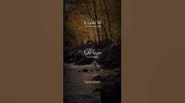 الشيخ#مشاري_راشد_العفاسي #اذكر_الله #قران_كريم #تلاوة_خاشعة #اكسبلور #ارح_سمعك #quran #explore #ayat