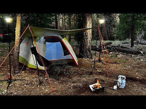 Adventure Camping in the Forrest | Cooking with Pie Irons