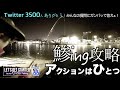 🔰アジング【アクションは 1つ！アジング攻略】手元を公開！ Vlog.66 Take her AJING Fishing