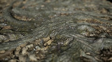 Real Displacement Textures Unreal Engine