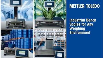 Industrial Bench Scales for Any Weighing Environment