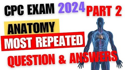 Anatomy CPC Exam Prep: Most Repeated Questions & Answers (Part 2)