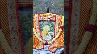 प्राणप्रिय🌸❤️#radhe #love #gurudev #radhavallabh #mahadev #viral #video #shorts#pyariju#radhe