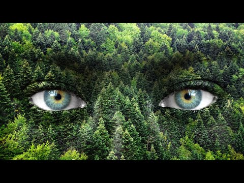 Disentanglement from Collective Consciousness Fear - Light Language Healing