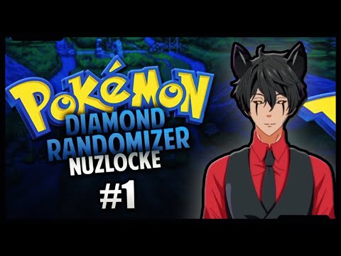 Video: Što je randomizer nuzlocke?