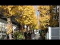 walking in Shinjuku Japan#livestreaming#livejapan