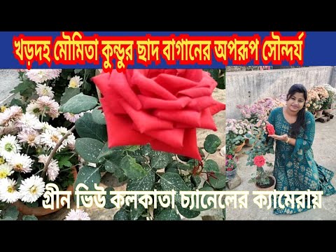 ভিডিও: ওলিয়েন্ডারের সৌন্দর্য এবং বিপদ