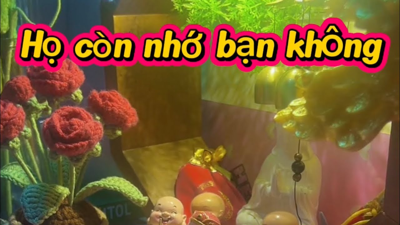 Họ còn nhớ bạn không