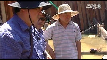 VTC14_Giải mã con tàu cổ 700 tuổi bị đắm tại Quảng Ngãi_02.07.2013