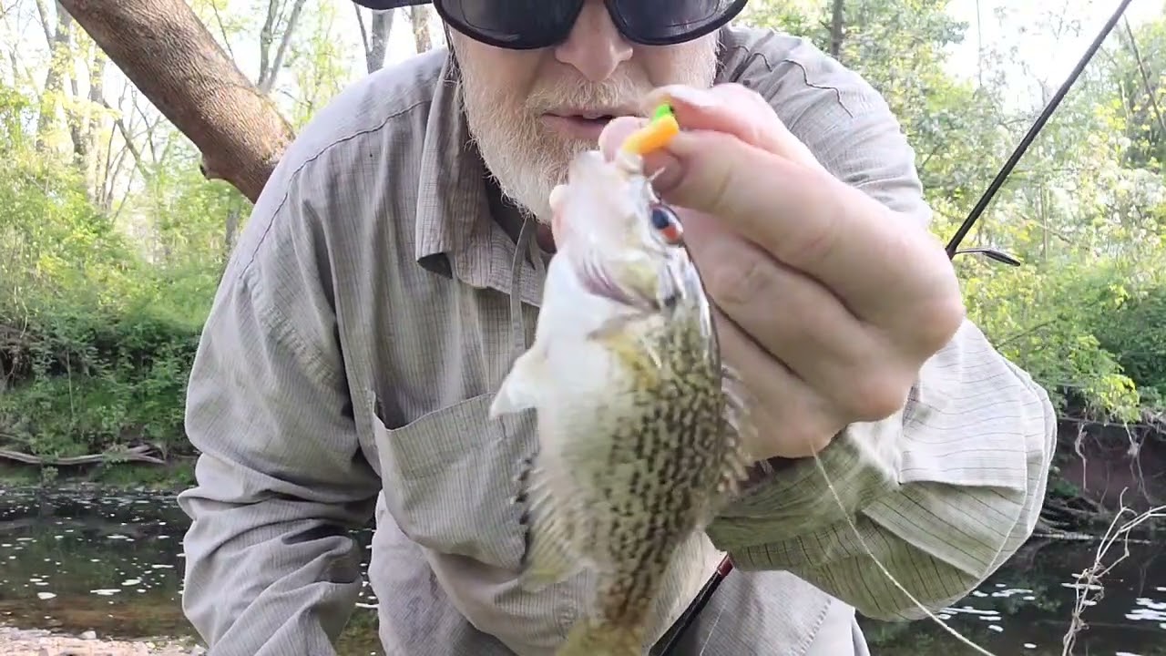 Rock Bass Fishing in a small creek #1