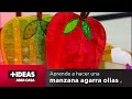 +Ideas Ama tu Casa | Aprende a hacer una manzana agarra ollas, en red+