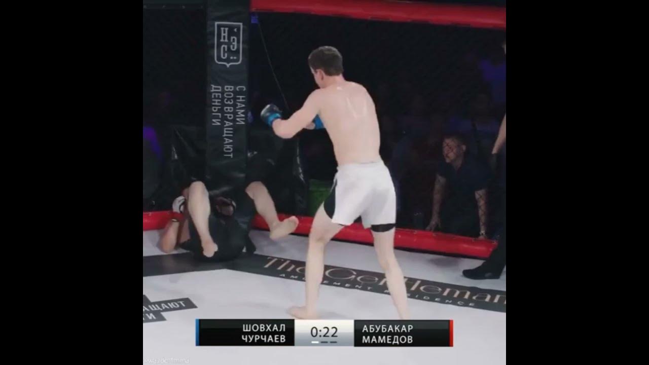 зелимхан хардкор. шовхал чорчаев. шовхал чурчаев обои. умхаджиев канаевич. умхаджиев малик канаевич.