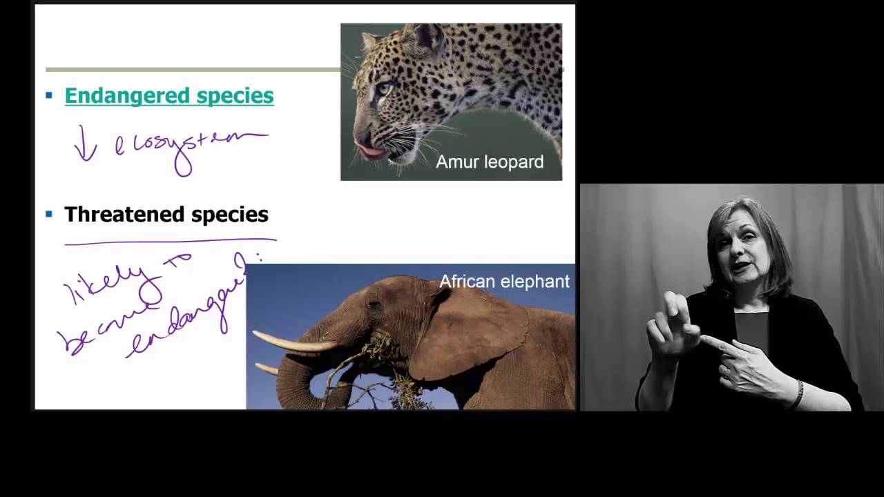 ConservationBio_Introduction w- Interpreter (and CC)