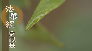 【靜思妙蓮華】法華經方便品 - 淨澈明見 度六道苦 - 20200814 第421集