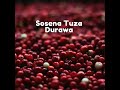 Sosena Tuza Durawa Mp3 Song