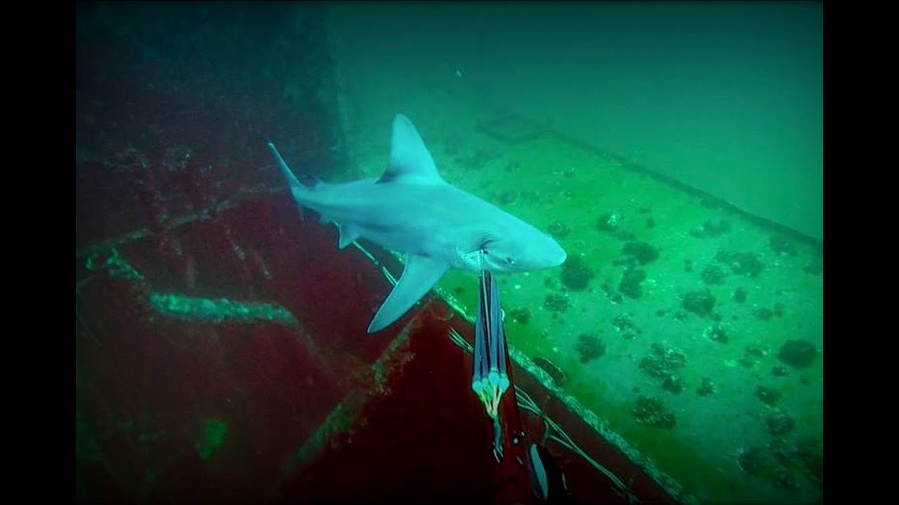 SCUBA NEAR DEATH EXPERIENCE YouTube