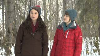 It's Our Forest - Part 2 Human Values