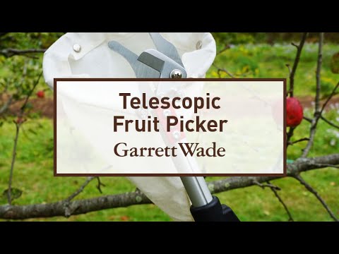 Telescopic Fruit Picker